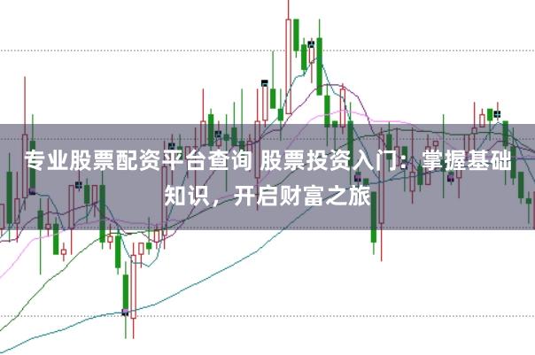 专业股票配资平台查询 股票投资入门：掌握基础知识，开启财富之旅
