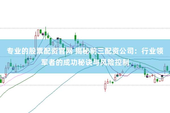 专业的股票配资官网 揭秘前三配资公司：行业领军者的成功秘诀与风险控制