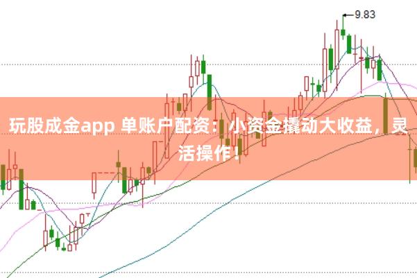 玩股成金app 单账户配资：小资金撬动大收益，灵活操作！