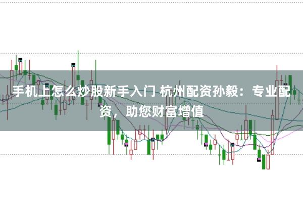 手机上怎么炒股新手入门 杭州配资孙毅：专业配资，助您财富增值