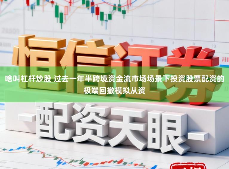 啥叫杠杆炒股 过去一年半跨境资金流市场场景下投资股票配资的极端回撤模拟从资